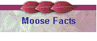 Moose Facts